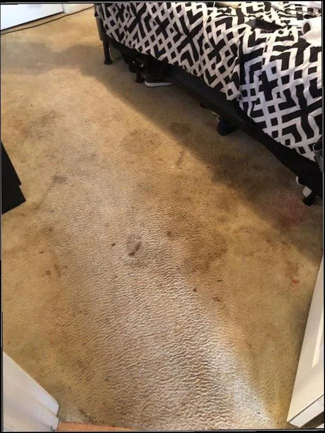 Soiled carpet — before in Oceanside, CA